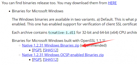 Windows版本Tomcat升级openssl版本 第1张