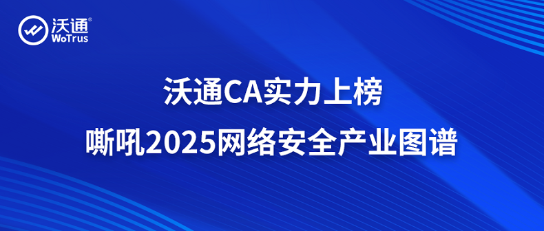 行业认可！沃通CA实力上榜嘶吼2025网络安全产业图谱 第1张